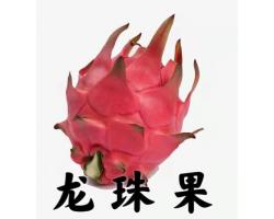 Dragon Fruit