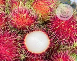 Anak Sekolah Rambutan 2KG/RM18