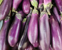 Eggplant