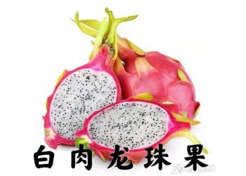 Dragon Fruit