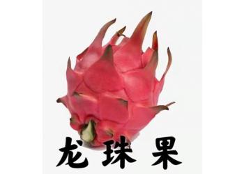 Dragon Fruit