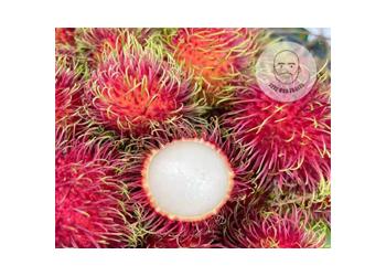 Anak Sekolah Rambutan 2KG/RM18