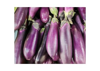 Eggplant