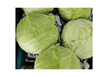 Cabbage