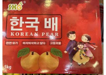 KOREAN PEAR