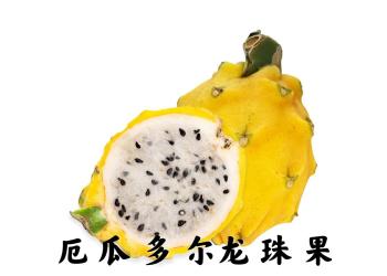 Dragon Fruit